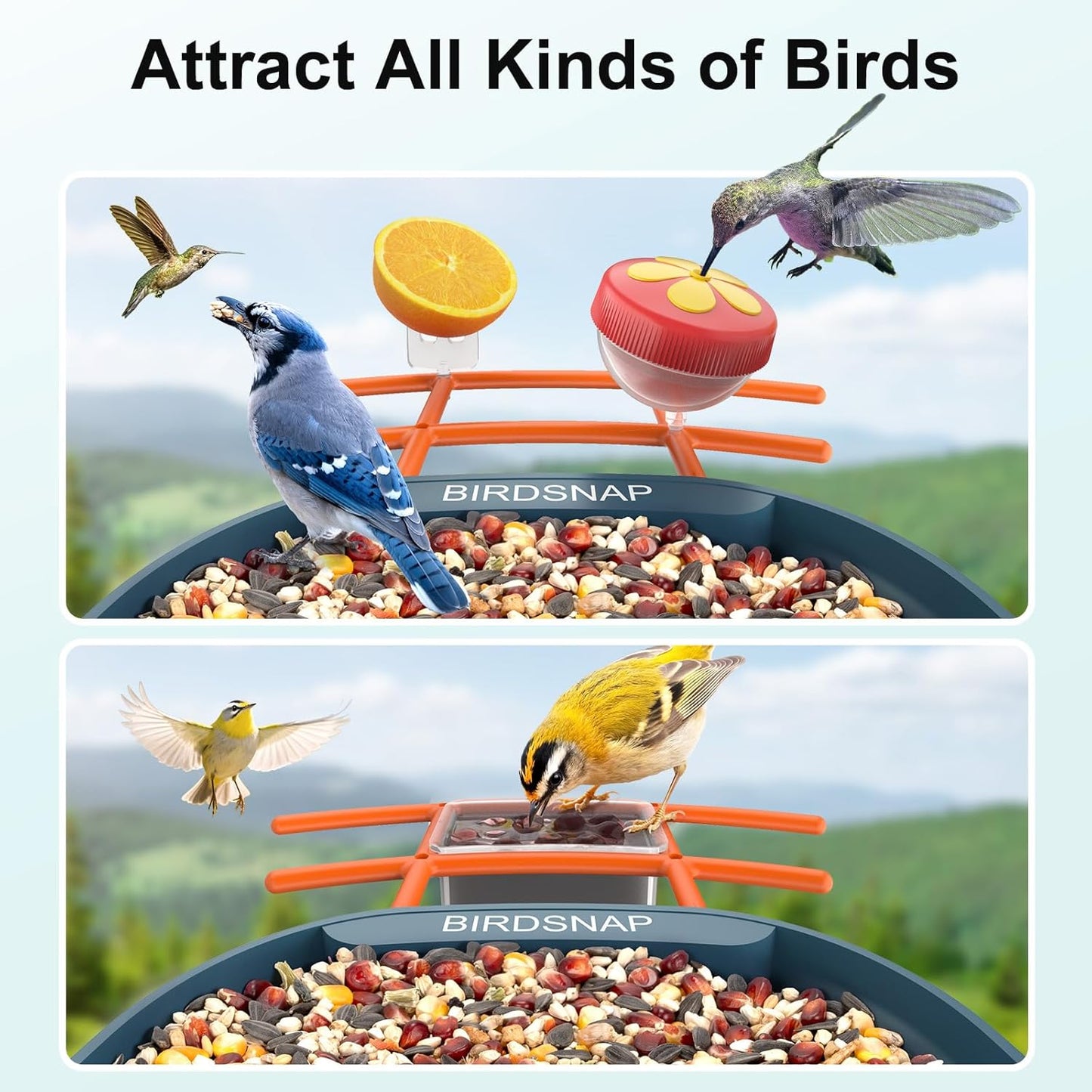 PAV- Bird Feeder with Camera