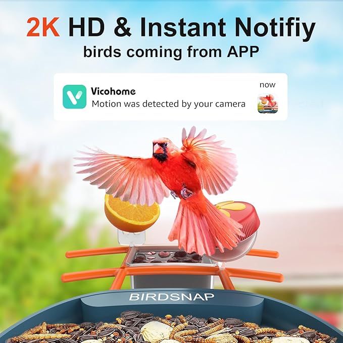 PAV- Bird Feeder with Camera