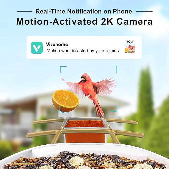 Bird Feeder with Camera 2K HD