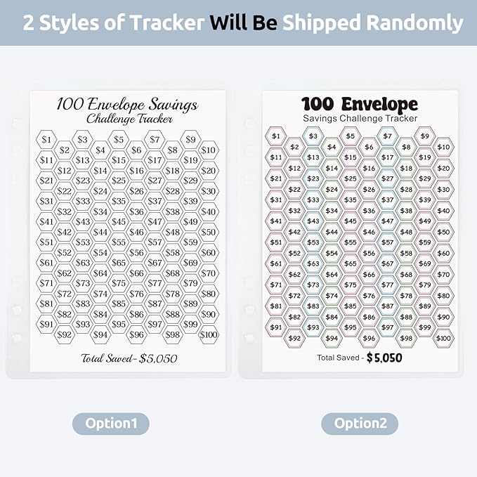 Money Saving Challenge Binder