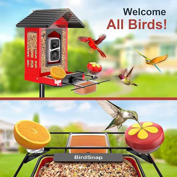 Bird Feeder with Camera