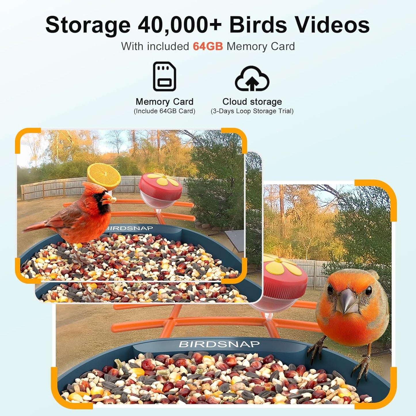 PAV- Bird Feeder with Camera