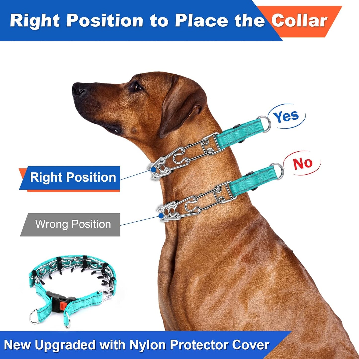 Adjustable Prong Collar For Medium Dogs