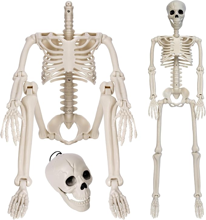 36in Posable Halloween Skeleton