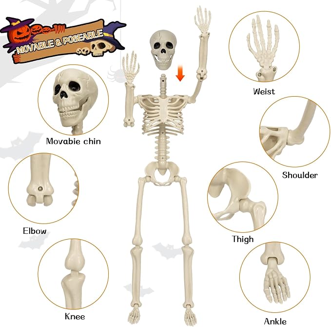 36in Posable Halloween Skeleton