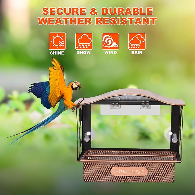Window Bird Feeder