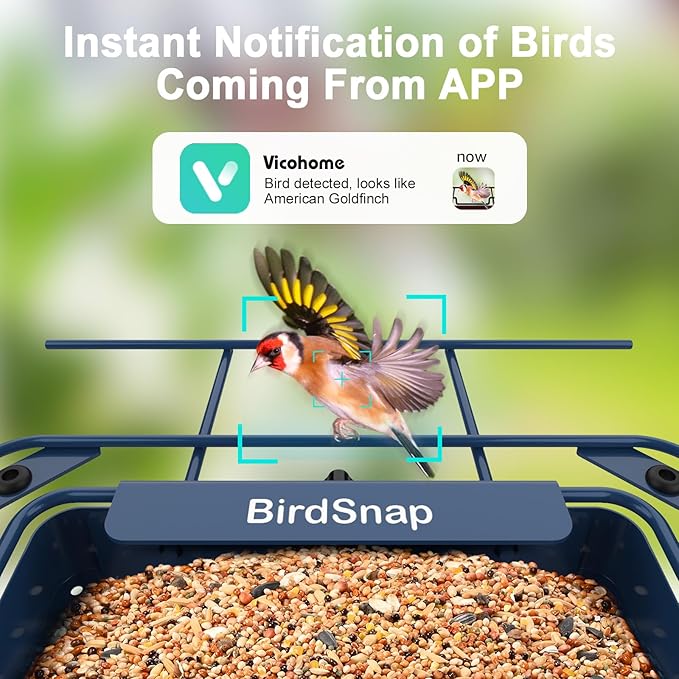 Bird Feeder with Camera - Blue