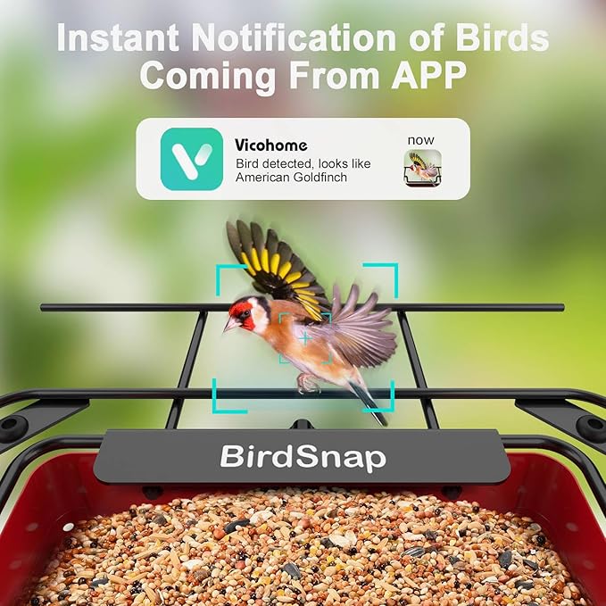 Bird Feeder with Camera