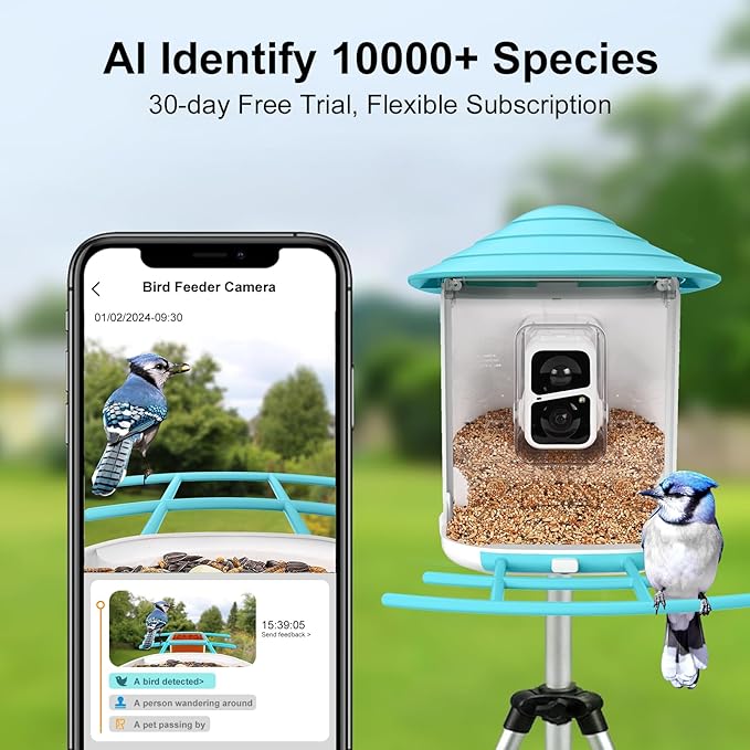 Bird Feeder with Camera 2K HD
