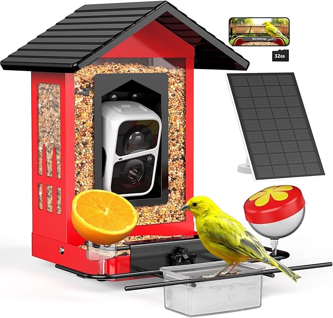 Bird Feeder with Camera