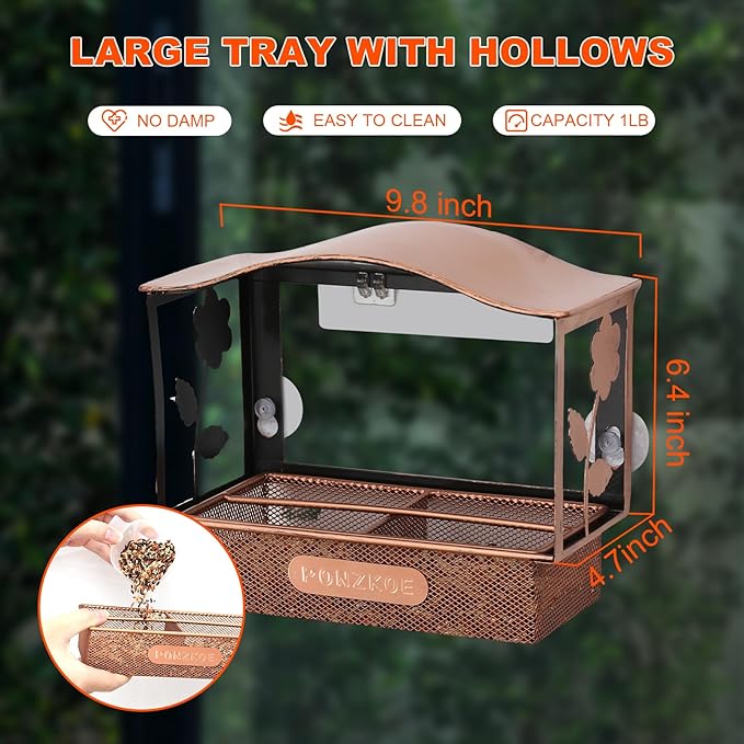 Window Bird Feeder