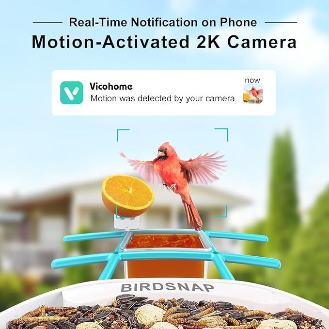 Bird Feeder with Camera 2K HD