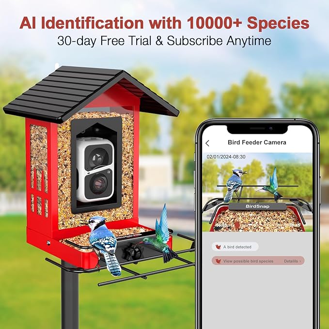 Bird Feeder with Camera
