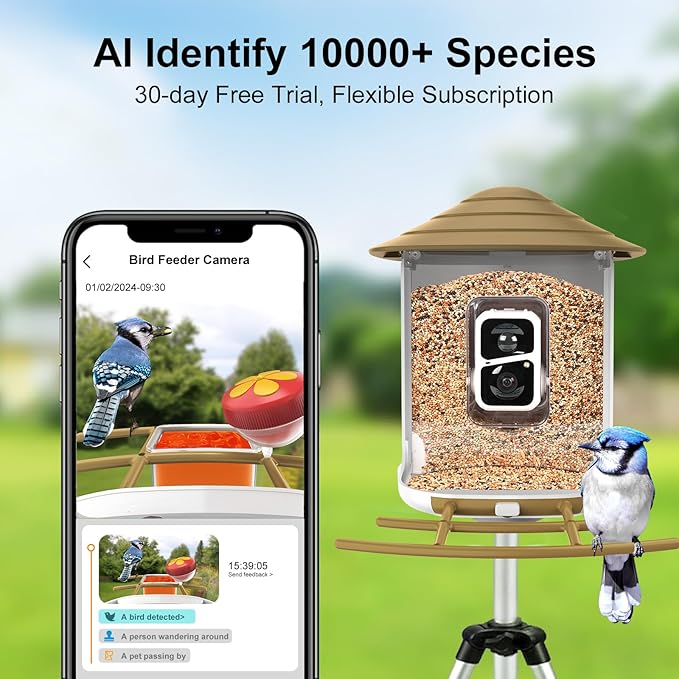 Bird Feeder with Camera 2K HD