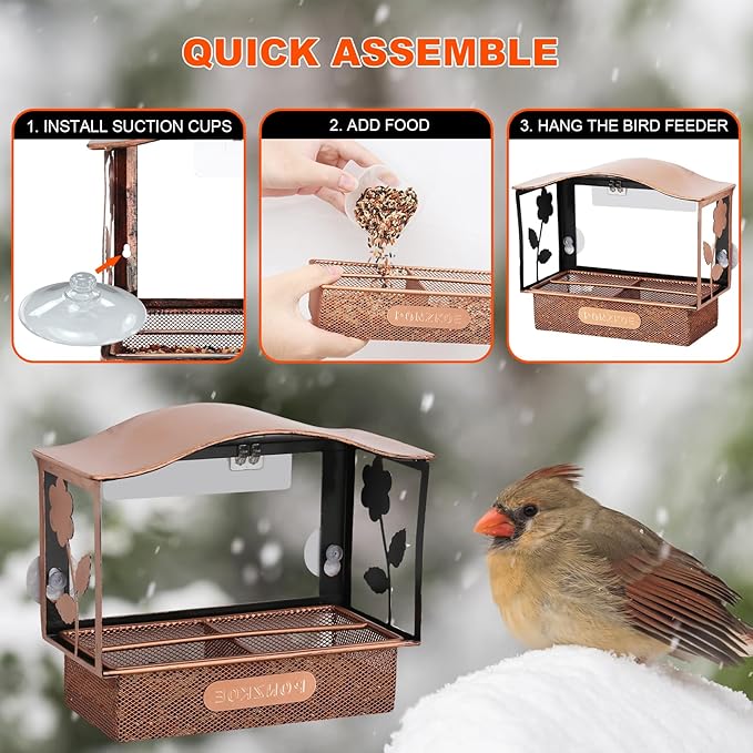 Window Bird Feeder