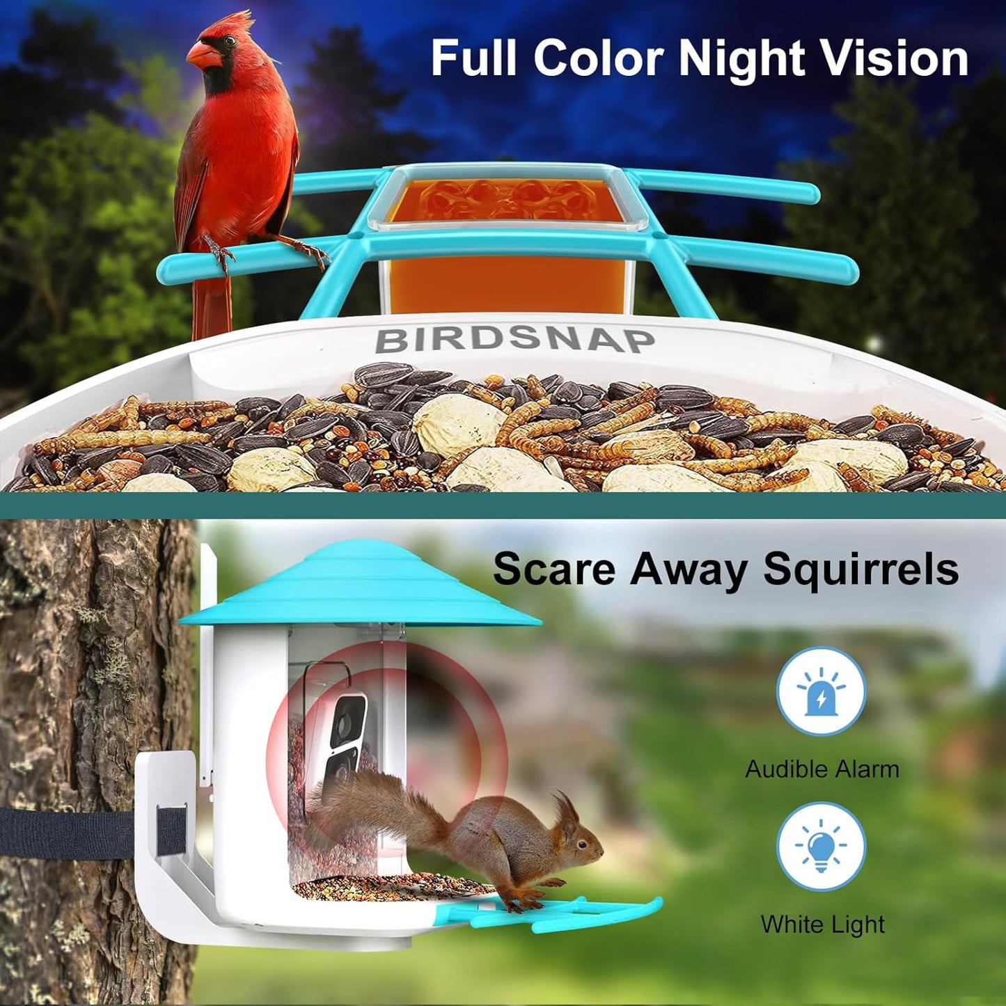 Bird Feeder with Camera 2K HD