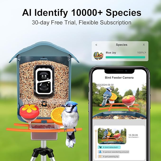 PAV- Bird Feeder with Camera