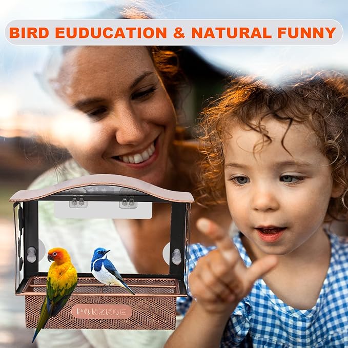 Window Bird Feeder