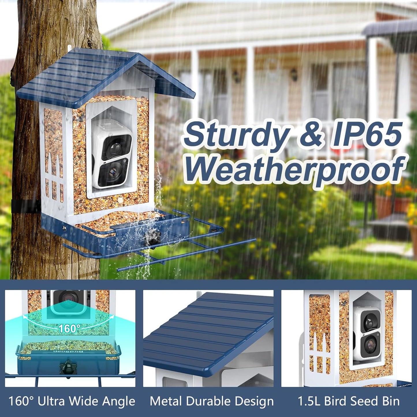 Bird Feeder with Camera - Blue