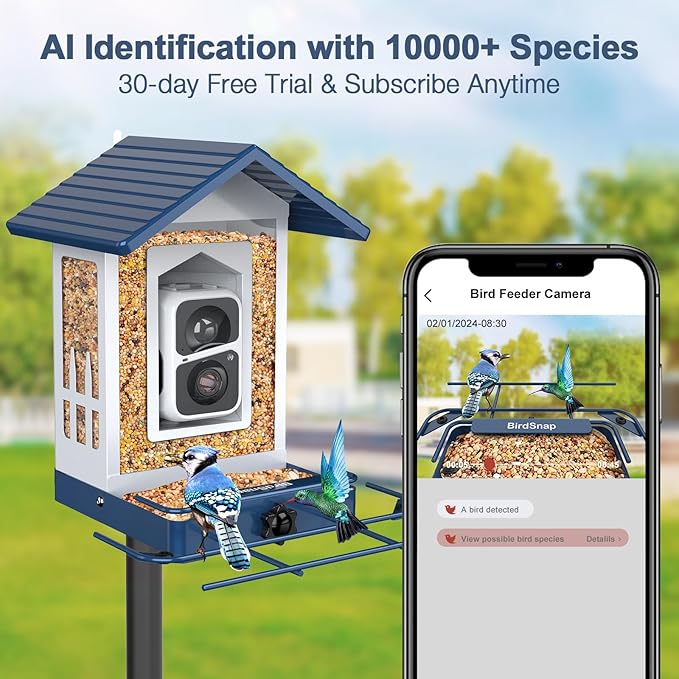 Bird Feeder with Camera - Blue
