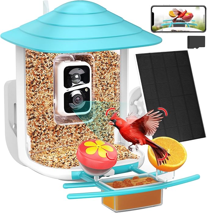 Bird Feeder with Camera 2K HD