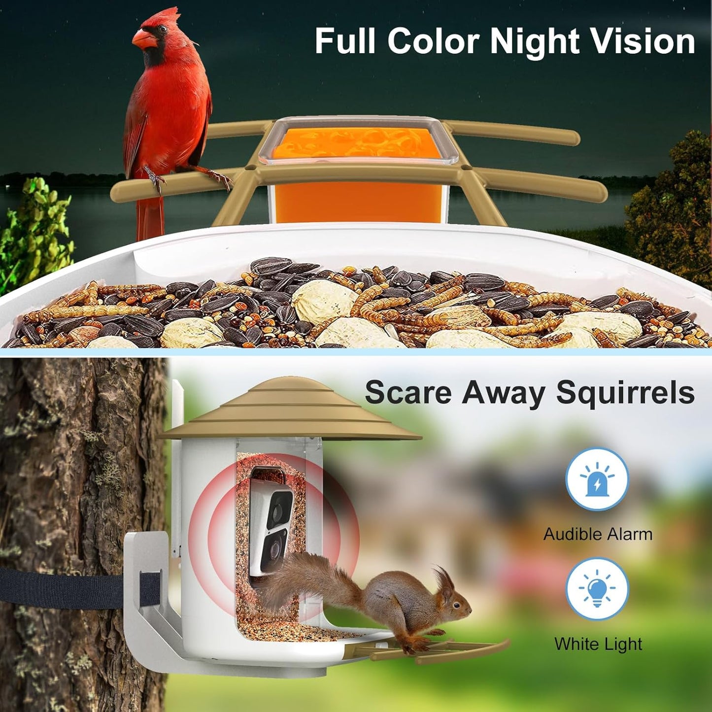 Bird Feeder with Camera 2K HD