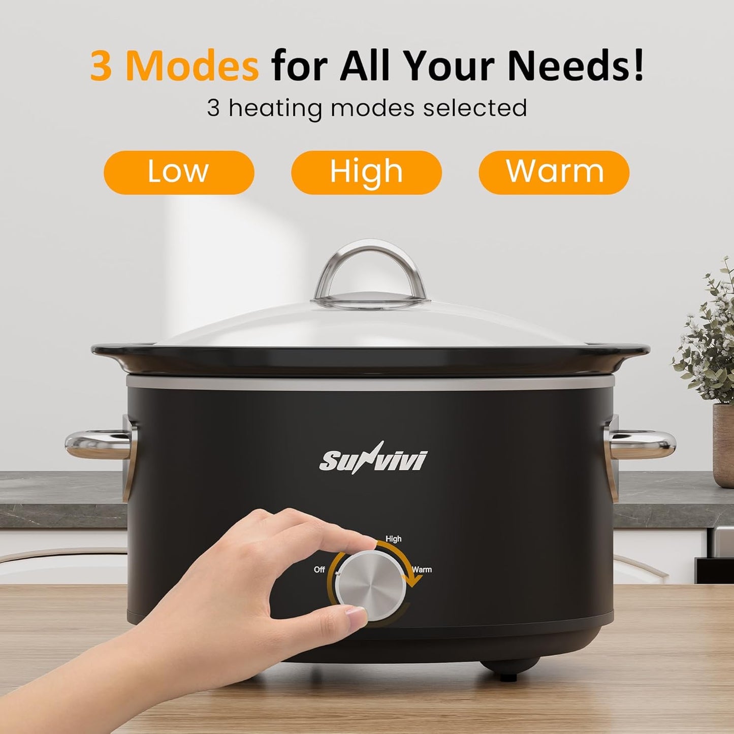 4 Quart Slow Cooker