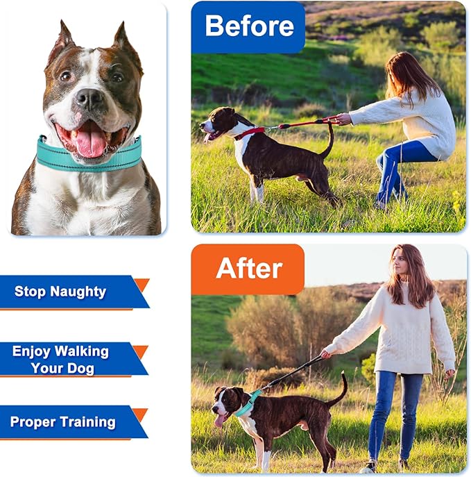 Adjustable Prong Collar For Medium Dogs