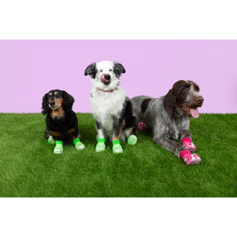 Crocs Dog Boots size M (Medium)
