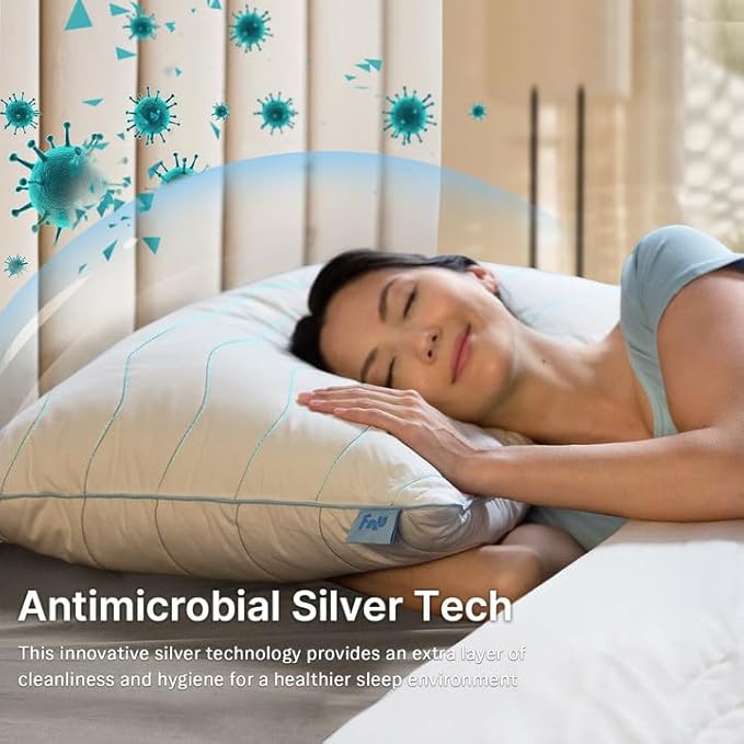 2 Queen Size Feather Down Pillows